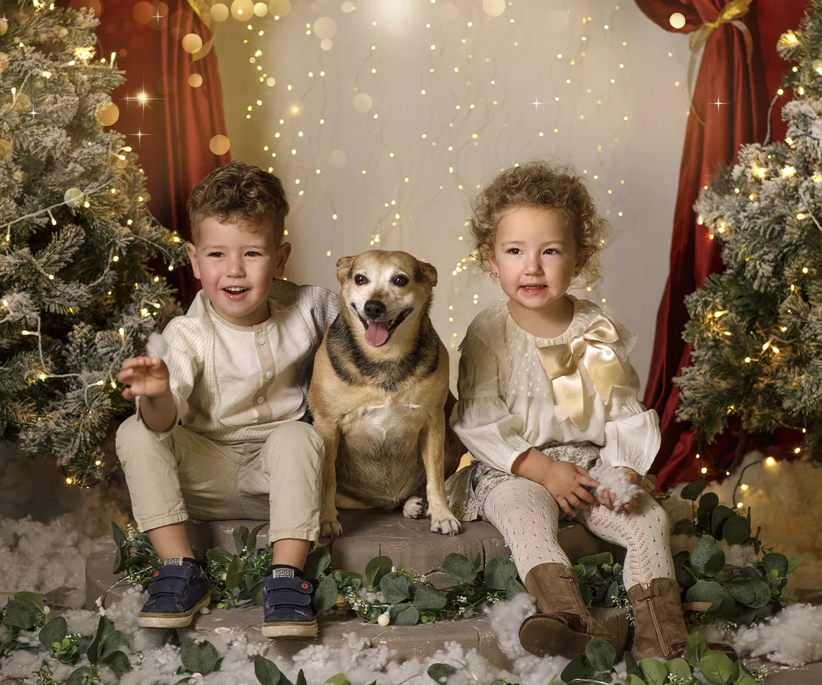 Img navidad 25 n3